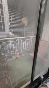 Balcony Image of 550 Sq.ft 1 BHK Apartment / Flat for sale in Newa Garden II, Airoli Navi Mumbai for Rs. 10000000