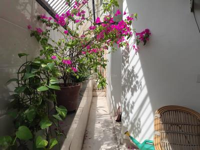 Balcony Image of 1500 Sq.ft 2 BHK Builder Floor for rent in Hauz Khas New Delhi for Rs. 85000