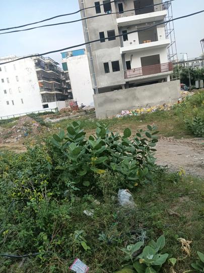 Central Park Flower Valley Main Image 1