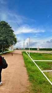 Image of 1000 Sq.ft Residential Plot / Land for sale in Naya Raipur, Raipur for Rs. 721000