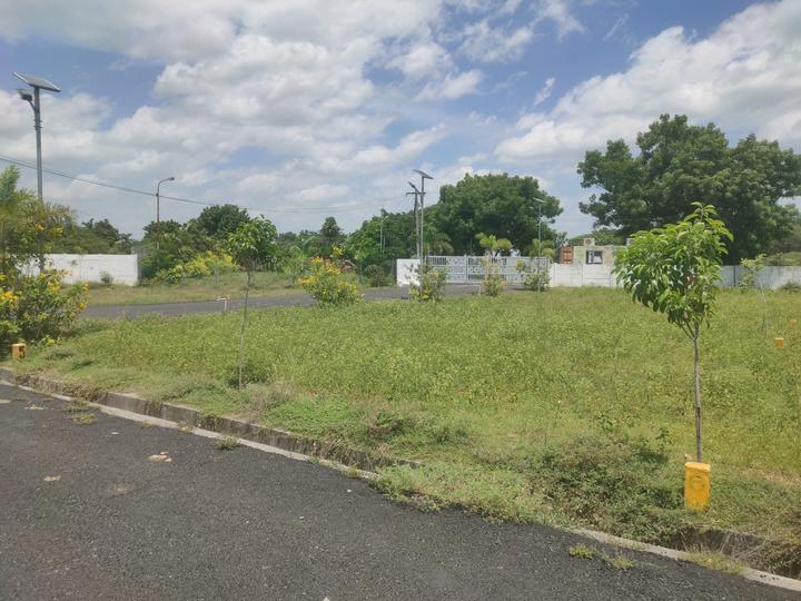 Royal Garden Main Image 1