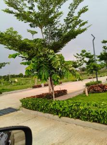 Image of 1200 Sq.ft Residential Plot / Land for sale in Kergalli, Mysore for Rs. 7500000