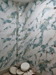 Vikram Builder Floors Common Bathroom 3