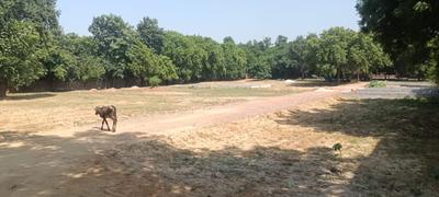 Image of 900 Sq.ft Residential Plot / Land for sale in Maruti Kunj, Gurgaon for Rs. 4850000