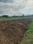 Beldari Chak Plot View 2