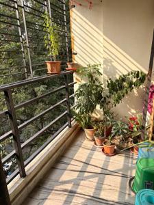 Balcony Image of 1680 Sq.ft 3 BHK Apartment / Flat for sale in Bhowanipore Kolkata for Rs. 21500000