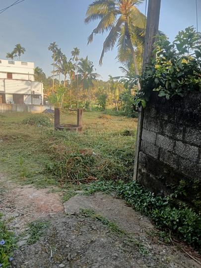 Thozhukkal Main Image 1