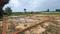 Bihta Plot View 2