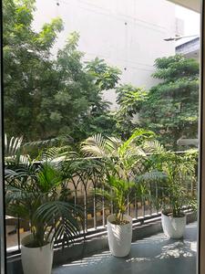 Living Room Image of 2250 Sq.ft 4 BHK Builder Floor for sale in Vipul World, Sector 48 Gurgaon for Rs. 31000000