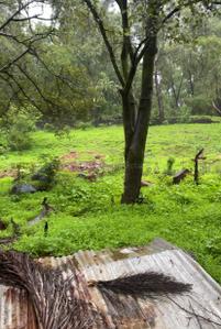 Image of 10000 Sq.ft Residential Plot / Land for sale in S2 Realty Discovery Phase III, Khandala, Lonavala for Rs. 60000000