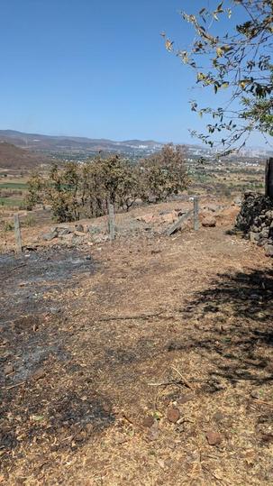 Sinhagad Road Main Image 1