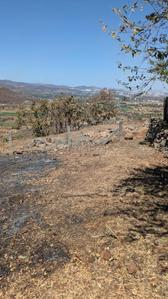 Sinhagad Road Plot View 1