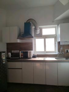 Kitchen Image of 506 Sq.ft 1 BHK Apartment / Flat for sale in Nimbus The Golden Palms, Sector 168 Noida for Rs. 6700000