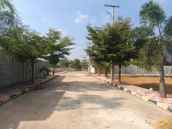 Golden City Main Image 1