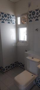 Bathroom Image of 1247 Sq.ft 2 BHK Apartment / Flat for rent in Jaypee Klassic , Sector 129 Noida for Rs. 28500