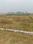 East park Main Image 1