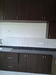 Kitchen Image of 1150 Sq.ft 2 BHK Apartment / Flat for rent in Padil Mangalore for Rs. 30000