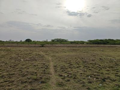 Image of 1100 Sq.ft Residential Plot / Land for sale in Chengalpattu, Chennai for Rs. 1650000