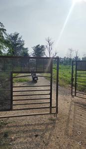 Image of 1815 Sq.ft Residential Plot / Land for sale in Revenue Colony, Tirupathi for Rs. 4500000