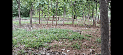 Image of 4392 Sq.ft Residential Plot / Land for sale in JP Royal City Phase II, Keelamathur, Madurai for Rs. 7000000