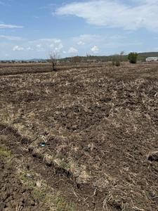 Invest Mahamumbai Plots In Uran Plot View 1