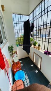 Balcony Image of 1250 Sq.ft 2 BHK Apartment / Flat for rent in Velachery Chennai for Rs. 30000