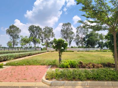 Residential Plot