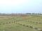 Delcon city Main Image 1
