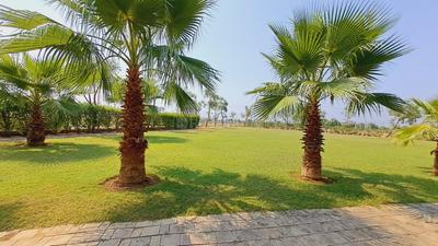 Image of 900 Sq.ft 2 BHK Independent House for sale in Wallfort Parkview, Datrenga, Raipur for Rs. 3195000