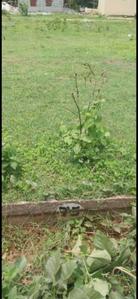 Image of 600 Sq.ft Residential Plot / Land for sale in Vijayanagar, Mysore for Rs. 6300000