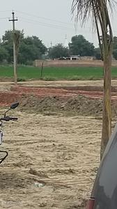 Image of 800 Sq.ft 3 BHK Independent House for sale in Sector 17A, Greater Noida for Rs. 3900000