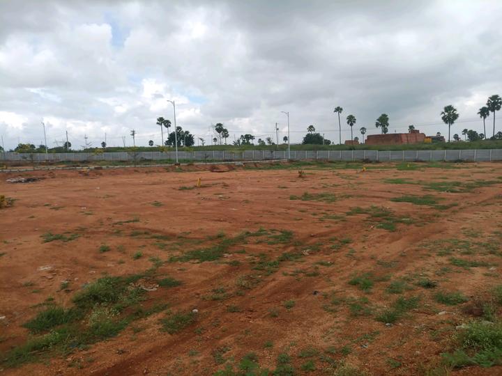 SGD Elite Main Image 1