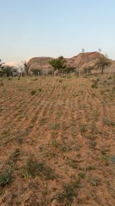 Image of 20160 Sq.ft Residential Plot / Land for sale in Piprali, Sikar for Rs. 16500000
