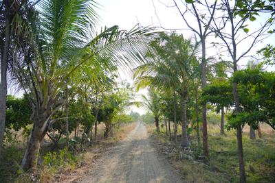 Image of 10000 Sq.ft Residential Plot / Land for sale in Annenahalli, Madhugiri, Tumkur for Rs. 2000000