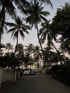 Image of 550 Sq.ft 1 BHK Apartment / Flat for rent in Juhu, Mumbai for Rs. 90005