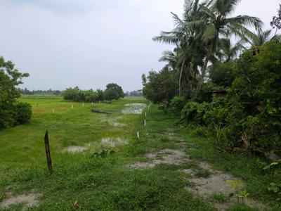 Golden city 2 Sonarpur plot project Plot View 2