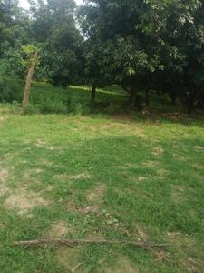 Image of 1000 Sq.ft Residential Plot / Land for sale in Amausi, Lucknow for Rs. 1700000