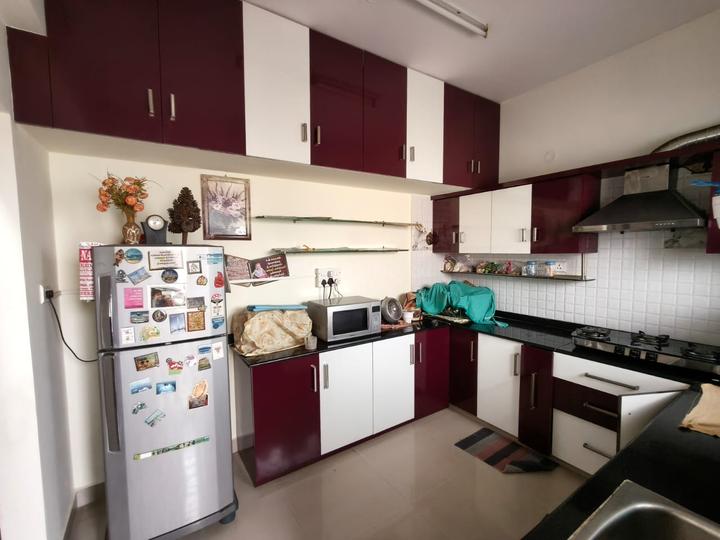 Elegant Orchid Main Image 1