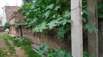 Image of 2400 Sq.ft Residential Plot / Land for sale in Tilkamanjhi, Bhagalpur for Rs. 6000000