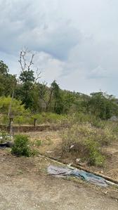 Image of 1733 Sq.ft Residential Plot / Land for sale in Sahastradhara Road, Dehradun for Rs. 6200000