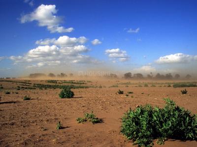 Image of 6399 Sq.ft Residential Plot / Land for sale in Kasindra, Ahmedabad for Rs. 37754100