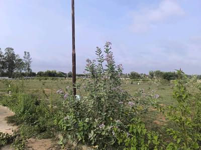 Image of 1500 Sq.ft Residential Plot / Land for sale in Hoskote, Bengaluru for Rs. 4200100