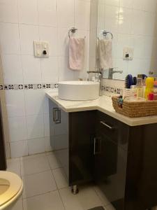Bathroom Image of 2035 Sq.ft 4 BHK Apartment / Flat for sale in Ardee Palm Grove Heights, Sector 52 Gurgaon for Rs. 37500000