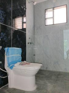 Common Bathroom Image of 1000 Sq.ft 2 BHK Apartment / Flat for rent in Mahadevapura Bengaluru for Rs. 46000