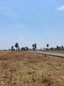 Image of 1000 Sq.ft Residential Plot / Land for sale in Naya Raipur, Raipur for Rs. 599000