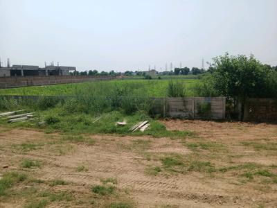 JMS The Pride Plot View 2