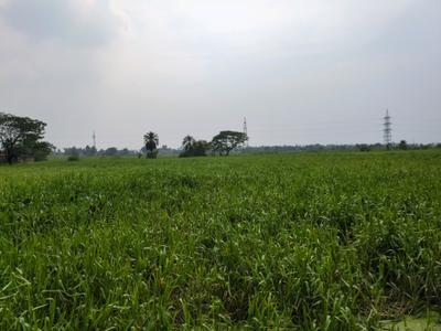 Image of 1440 Sq.ft Residential Plot / Land for sale in Wander Valley, Joka, Kolkata for Rs. 500055