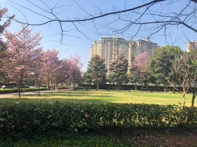 Image of 1142 Sq.ft 2 BHK Apartment / Flat for sale in Nikoo Homes V, Kannuru, Bengaluru for Rs. 14900004