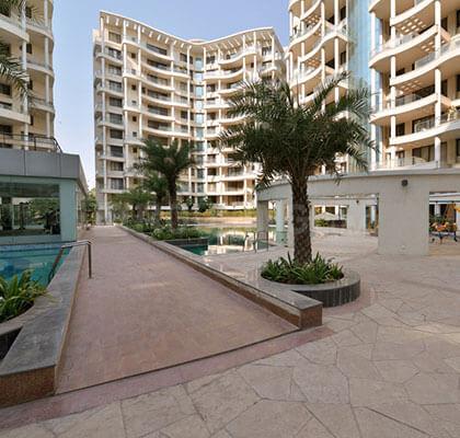 Ekta California Main Image 1