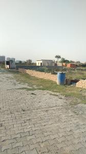 Zameen Shree Shyam Vihar Noida Extention Plot View 3